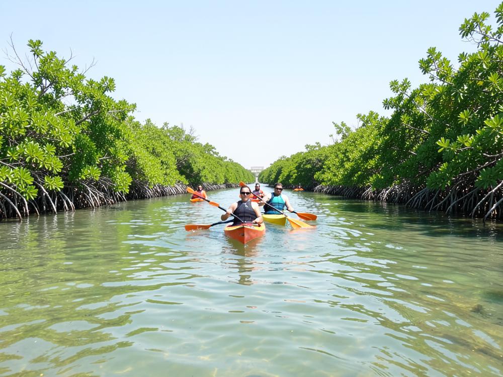 Mangrove kayaking in Al Reem Island, Abu Dhabi