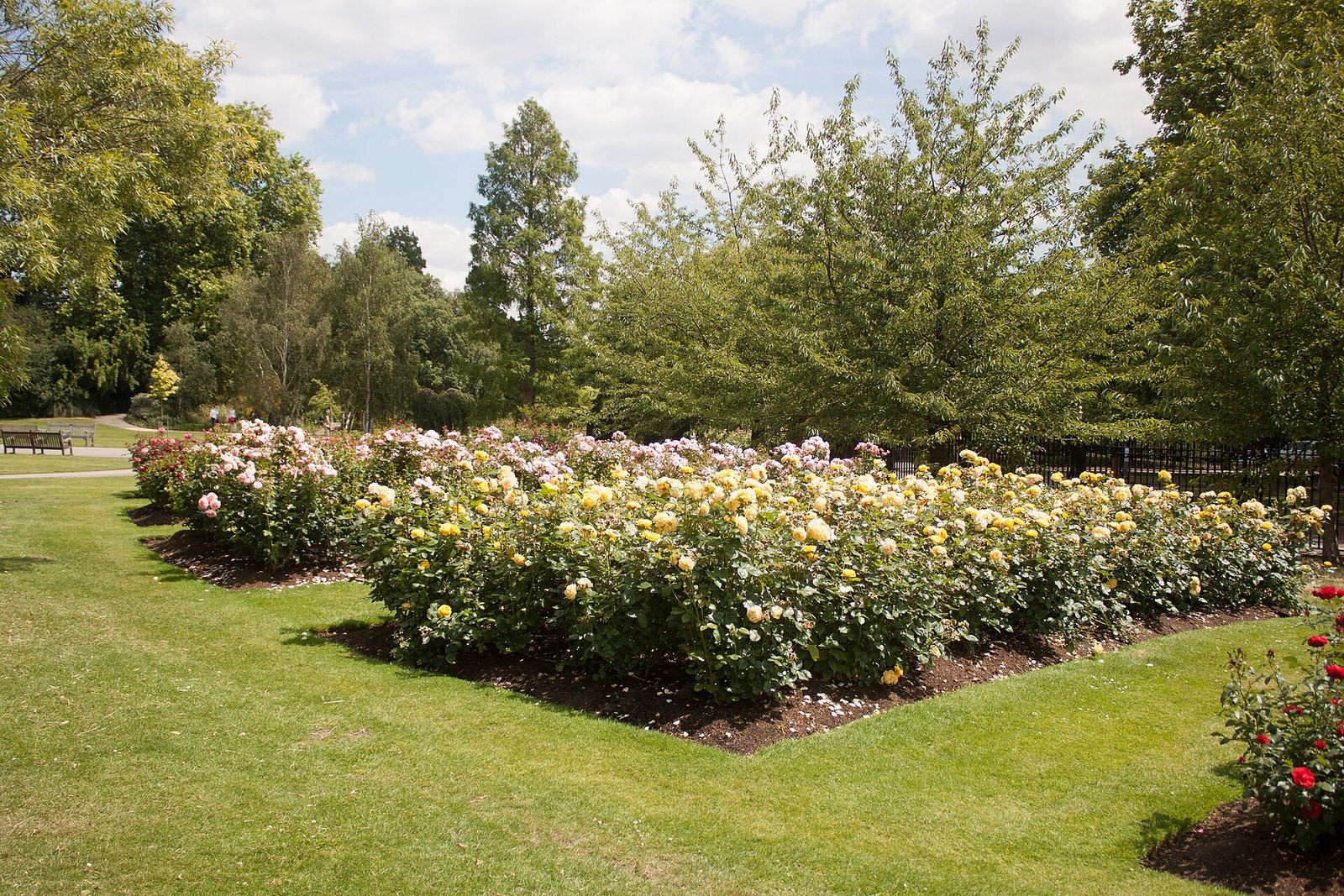 Regent's Park