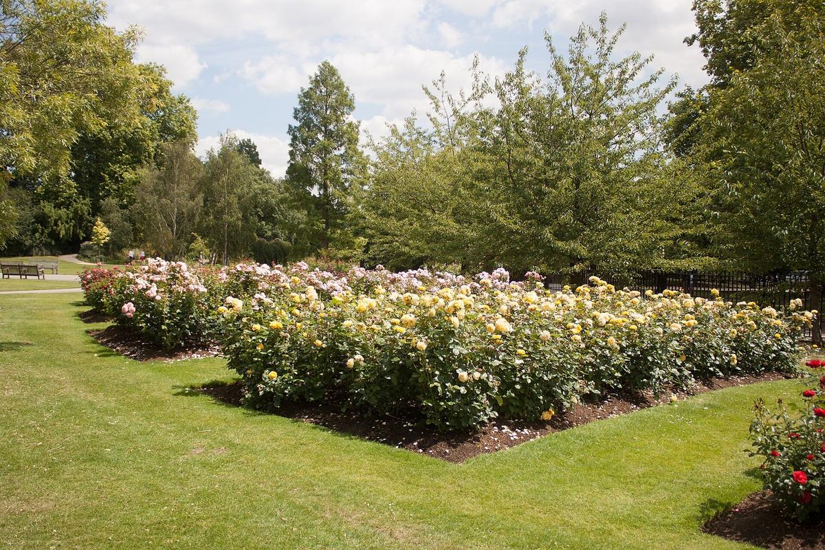 Regent's Park