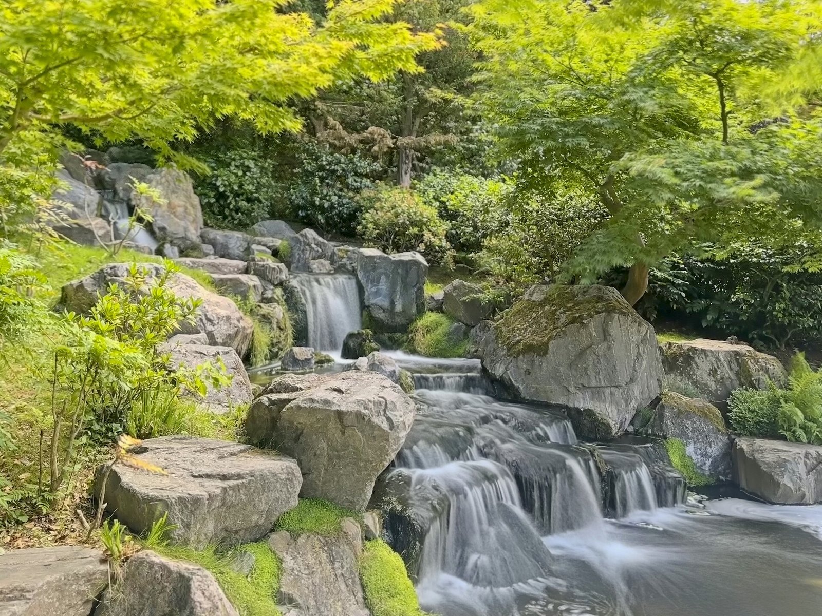 Holland Park & the Kyoto Garden